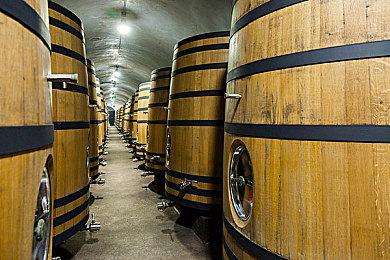 《生命与土地》登陆Steam 好评自然生存建设